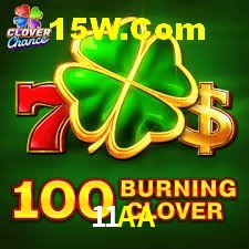 Bonus Features 11AA